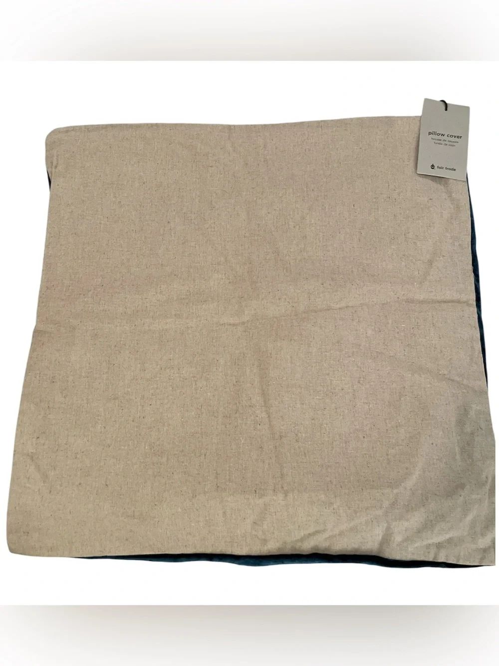 West Elm Lush Velvet Pillow Cover in Regal Blue